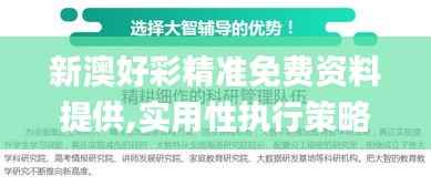 新澳好彩精准免费资料提供,实用性执行策略讲解_专业版7.571