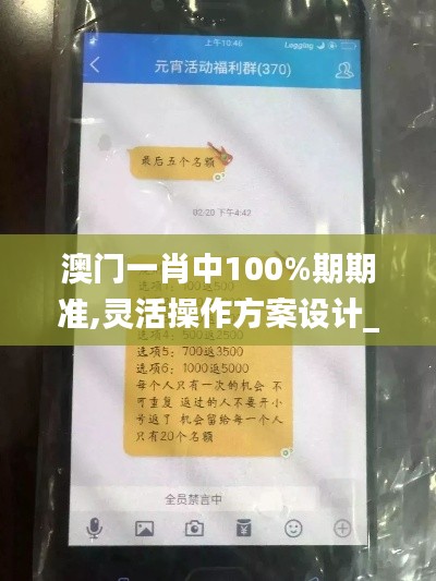 澳门一肖中100%期期准,灵活操作方案设计_nShop3.500