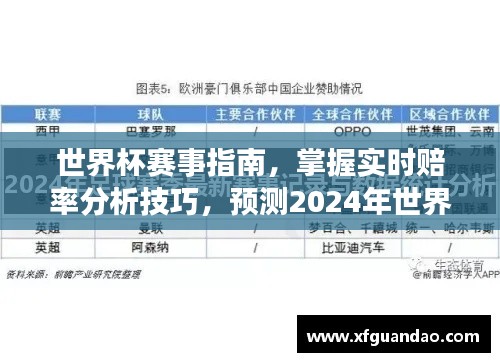 初学者与进阶用户必备的2024世界杯赛事指南,实时赔率分析与预测技巧全解析