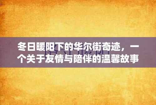 华尔街奇迹,冬日暖阳下的友情与陪伴之道