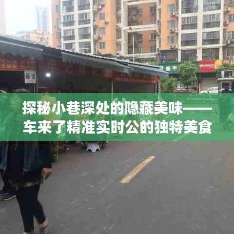 车来了实时导航，探秘小巷深处的独特美食之旅