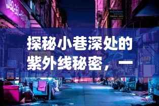 探秘小巷深处的紫外线秘密,一家特色小店的魅力与紫外线系数之旅