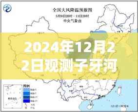 子牙河实时水位观测指南，2024年观测步骤详解