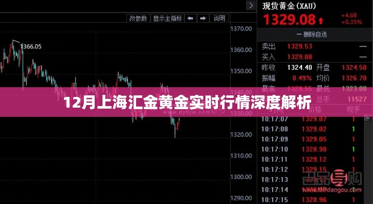 上海汇金黄金行情深度解析,最新实时行情揭示(十二月版)