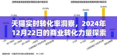 天猫实时转化率洞察,商业转化力量探索于2024年12月22日的新篇章