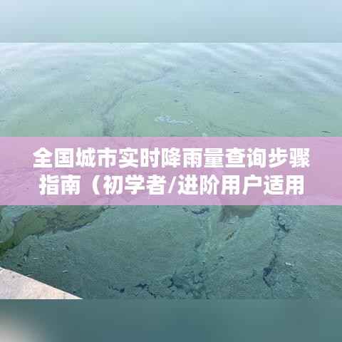 全国城市实时降雨量查询步骤详解,适用于初学者与进阶用户