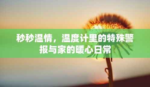 温度计中的特殊警报,家的暖心时刻