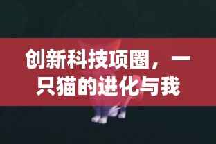 创新科技项圈,猫之进化与励志传奇