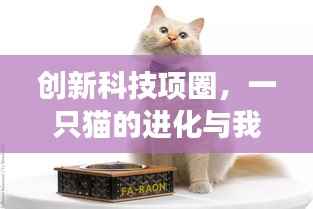 创新科技项圈,猫之进化与励志传奇