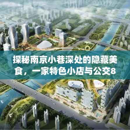 南京小巷美食探秘,公交838与特色小店的奇妙邂逅