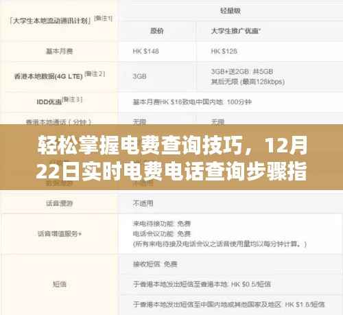 电费查询轻松上手,12月22日实时电费电话查询步骤详解