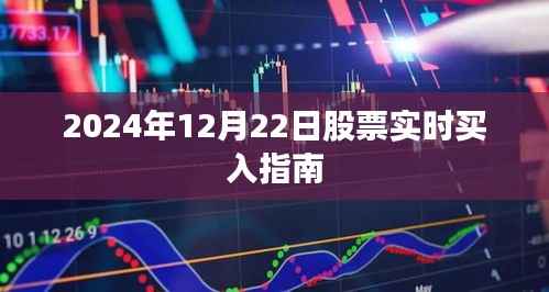 2024年12月22日股票实时买入宝典