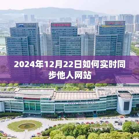 如何实时同步他人网站至2024年12月22日？