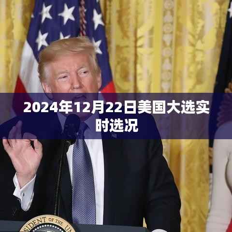 美国大选实时选况,聚焦2024年12月22日大选动态