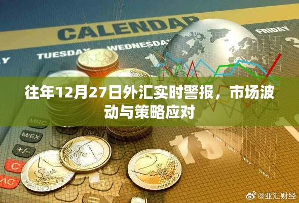 外汇市场实时警报,波动分析与应对策略