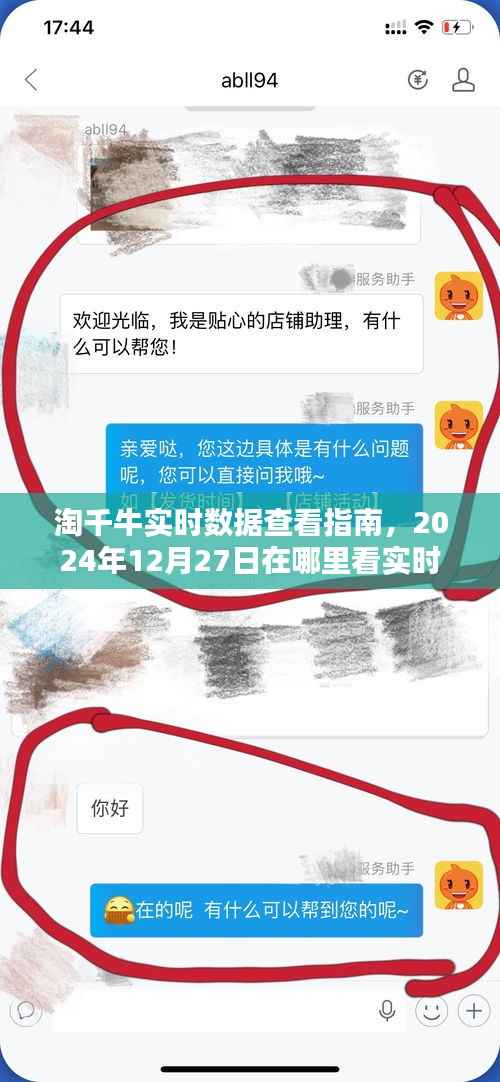 淘千牛实时数据查看攻略,如何查看实时数据(最新指南,日期,2024年12月27日)