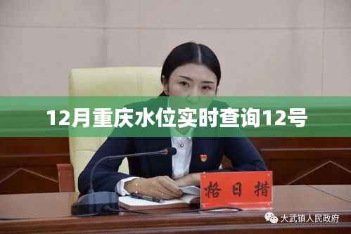 重庆12月水位实时查询（最新更新）