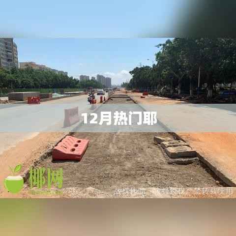 12月热门事件回顾