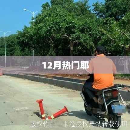 12月热门事件回顾