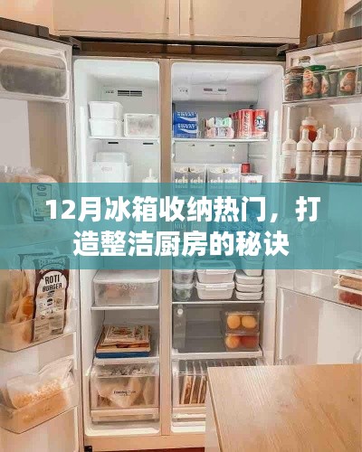 冬季冰箱收纳秘籍,打造整洁厨房的秘诀