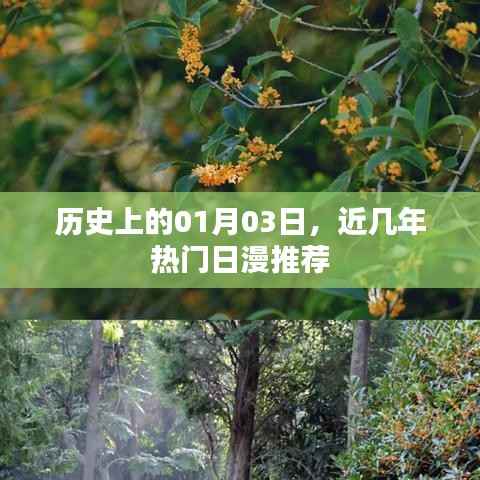 近几年热门日漫推荐,带你走进历史上的01月03日的世界