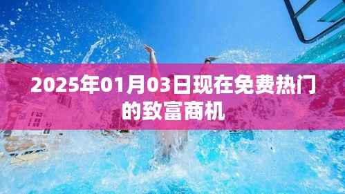 2025年最新热门致富商机,免费探索财富之门!