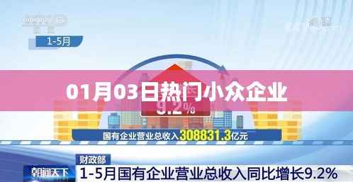 01月精选,热门小众企业风采展示