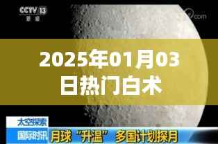 白术市场趋势分析,揭秘未来热门白术风采