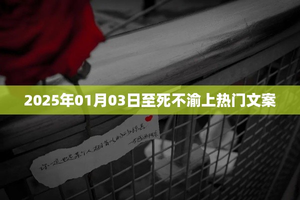 至死不渝,一段深情不渝的感人故事,2025年1月3日