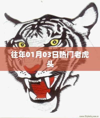 老虎头历年一月初三热度盘点