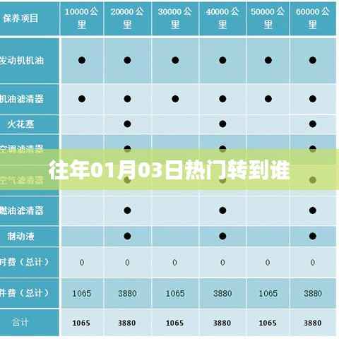「历年元旦后热门话题聚焦,谁成为焦点?」