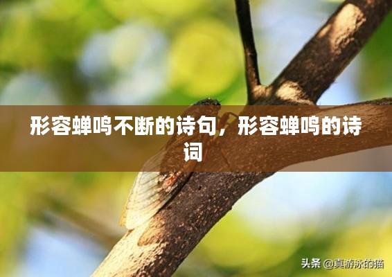 形容蝉鸣不断的诗句,形容蝉鸣的诗词
