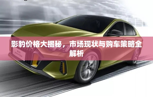影豹价格大揭秘,市场现状与购车策略全解析