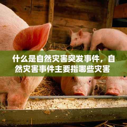 什么是自然灾害突发事件,自然灾害事件主要指哪些灾害