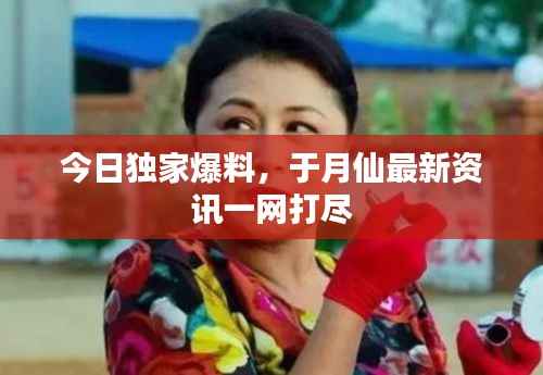 今日独家爆料,于月仙最新资讯一网打尽