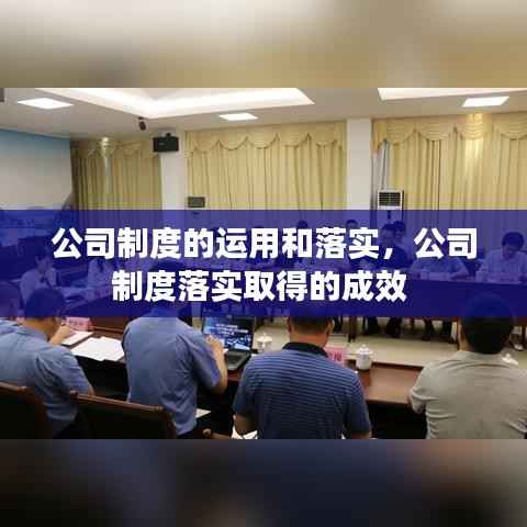 公司制度的运用和落实,公司制度落实取得的成效
