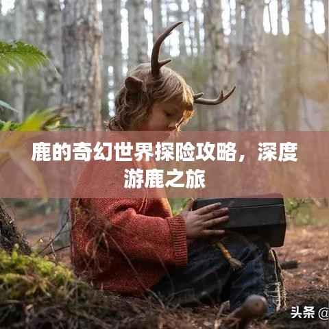 鹿的奇幻世界探险攻略,深度游鹿之旅