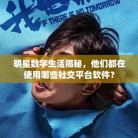 明星数字生活揭秘,他们都在使用哪些社交平台软件?