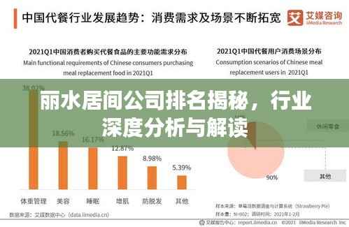 丽水居间公司排名揭秘,行业深度分析与解读