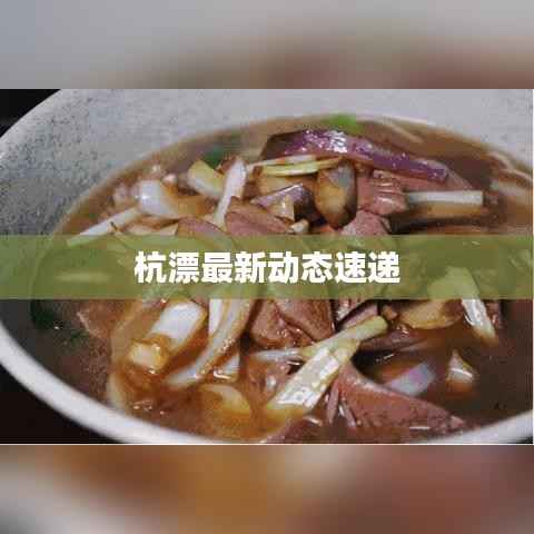 杭漂最新动态速递