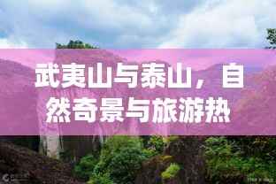 武夷山与泰山,自然奇景与旅游热点全景解析