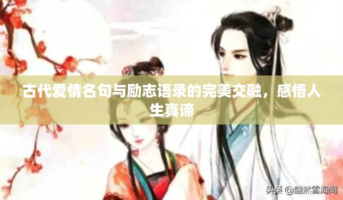 古代爱情名句与励志语录的完美交融,感悟人生真谛