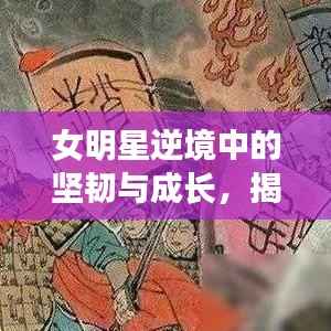 女明星逆境中的坚韧与成长,揭秘她们面临的危险与挑战