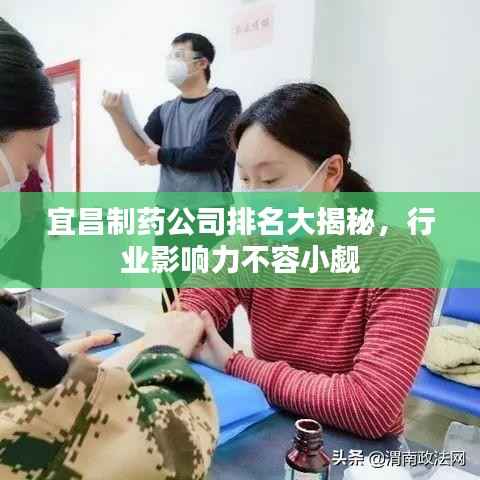 宜昌制药公司排名大揭秘,行业影响力不容小觑