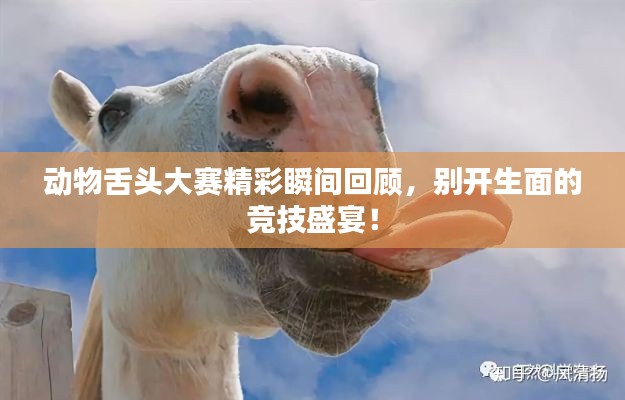 动物舌头大赛精彩瞬间回顾,别开生面的竞技盛宴!