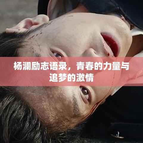 杨澜励志语录,青春的力量与追梦的激情