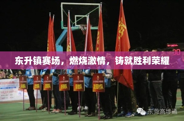 东升镇赛场,燃烧激情,铸就胜利荣耀