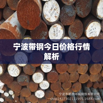 纲挈目张 第3页