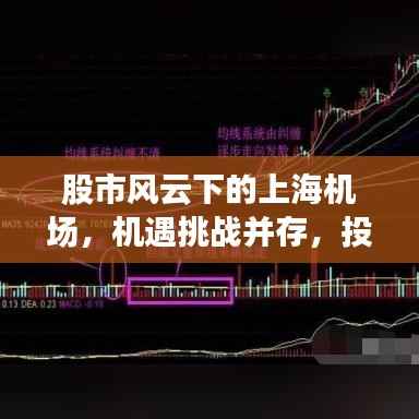 股市风云下的上海机场,机遇挑战并存,投资前景揭秘