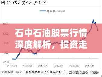 石中石油股票行情深度解析,投资走势与前景展望